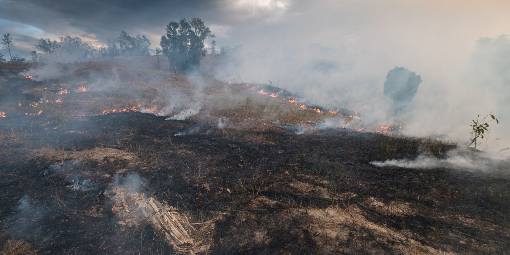 Suncorp Group announces bushfire claims update