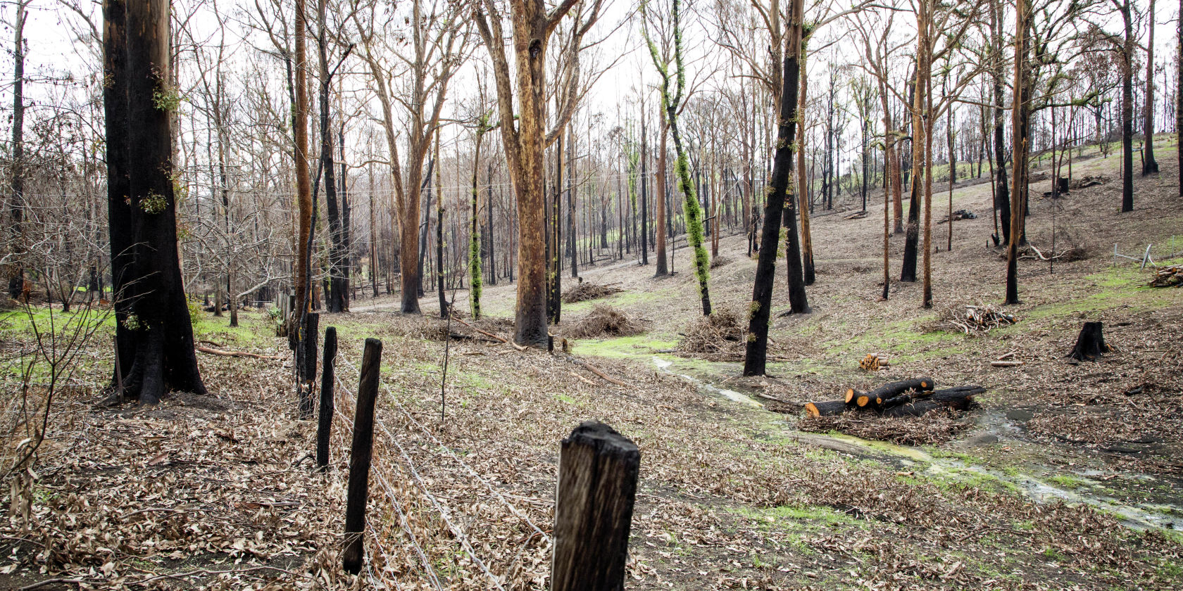 Suncorp supports children’s bushfire recovery program