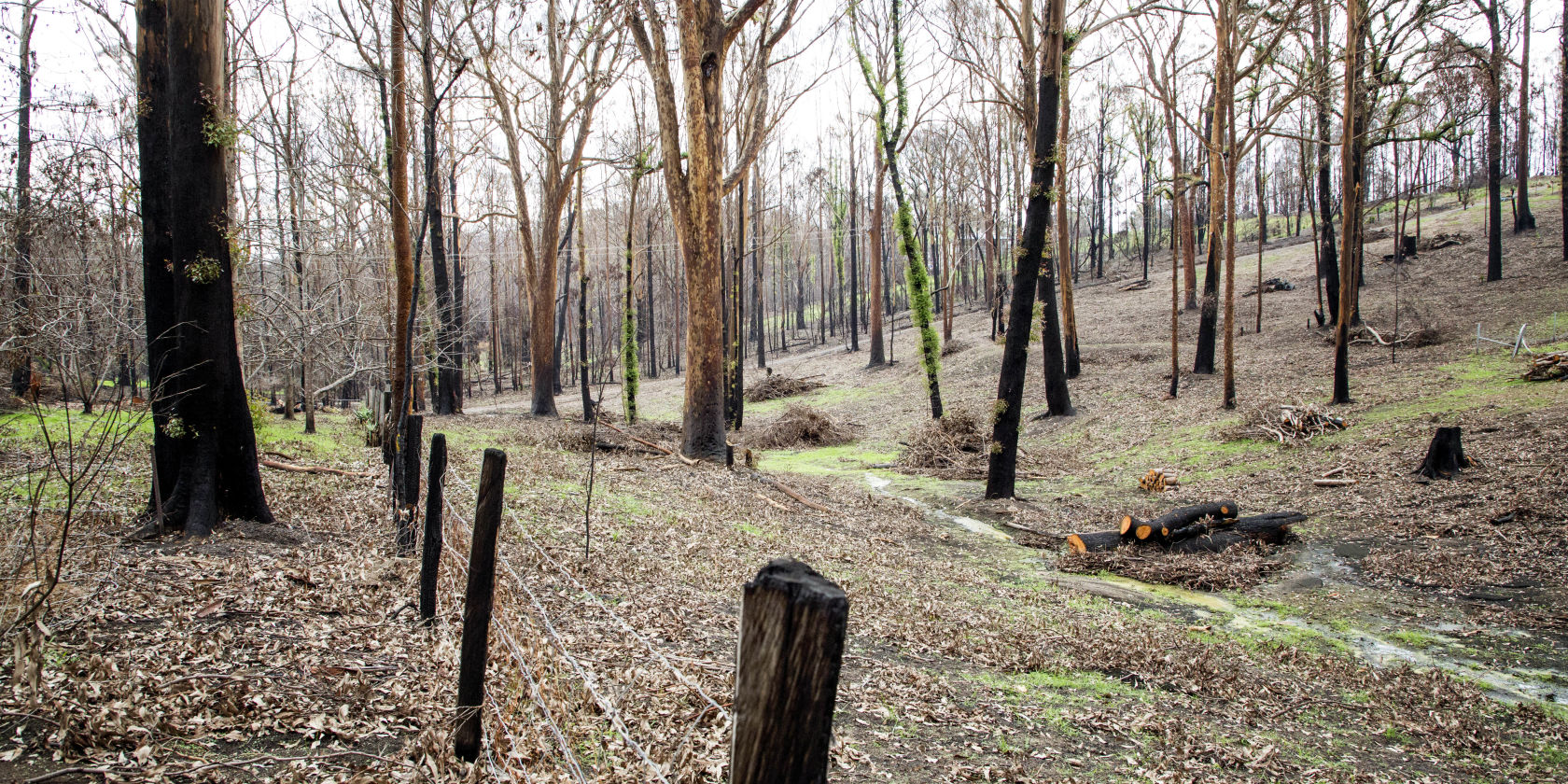 Suncorp supports children’s bushfire recovery program 