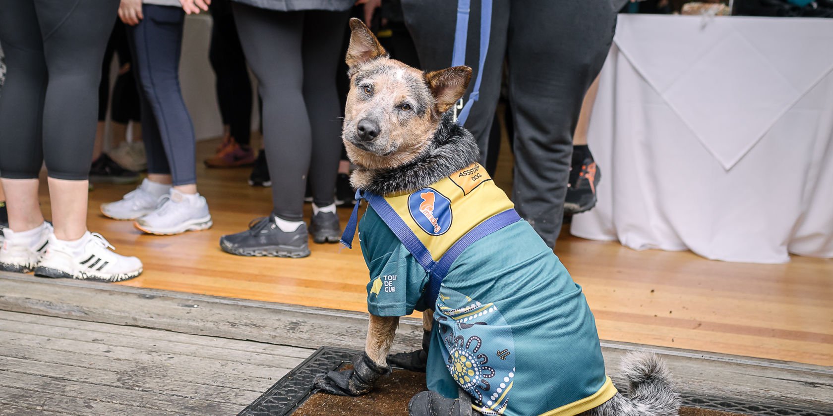 Nala the accessibility dog lends a helping paw at Melbourne Spirit to Cure