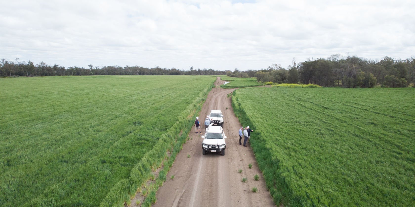 Suncorp supports the ICA Climate Change Roadmap