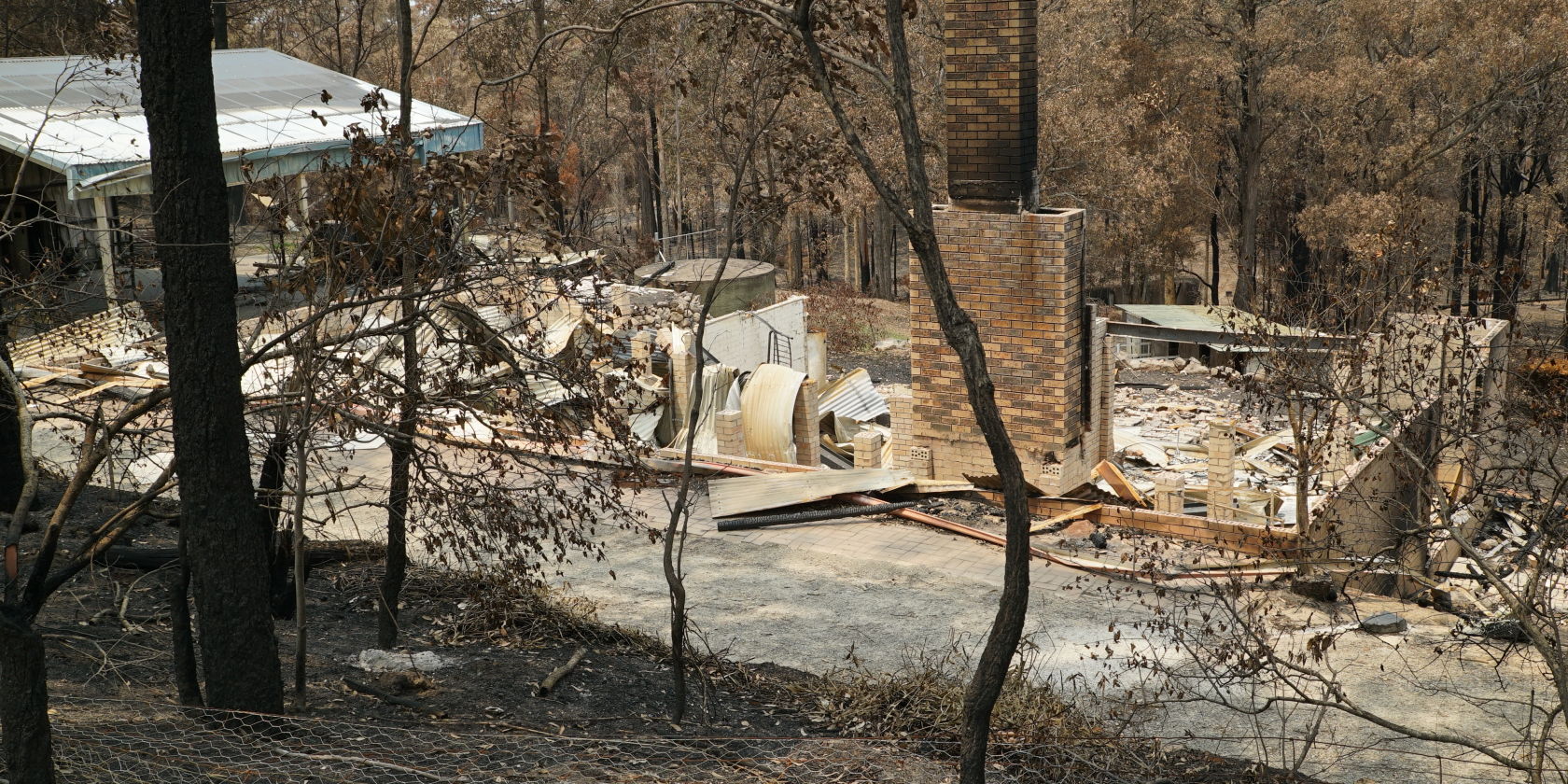 Building a more resilient future - why we owe it to those brave bushfire survivors