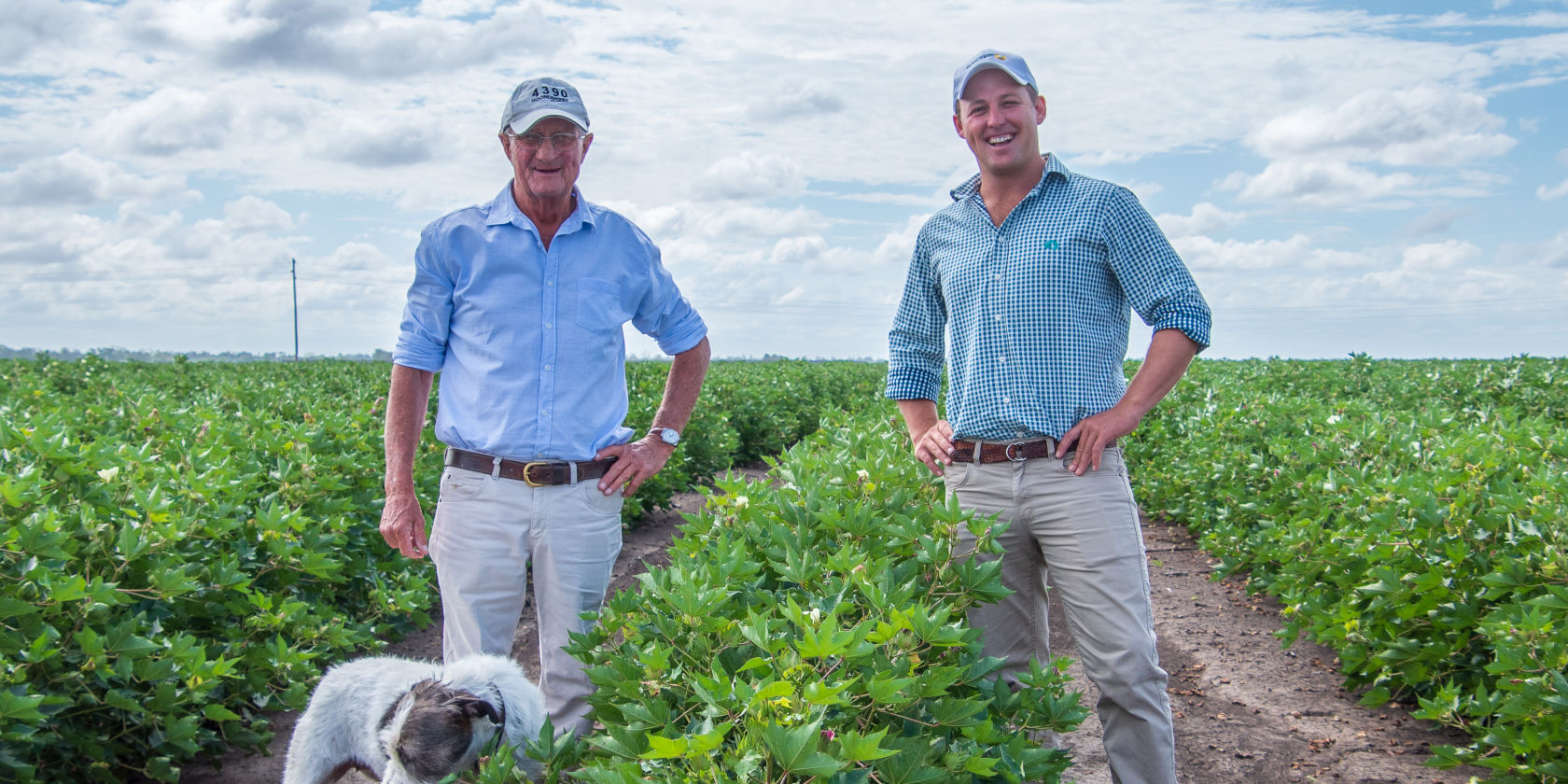 Diving into digital changes a cotton farmer’s fortunes 