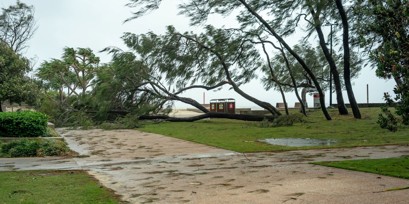 Suncorp is scaled up and supporting customers impacted by ex-Tropical Cyclone Alfred 
