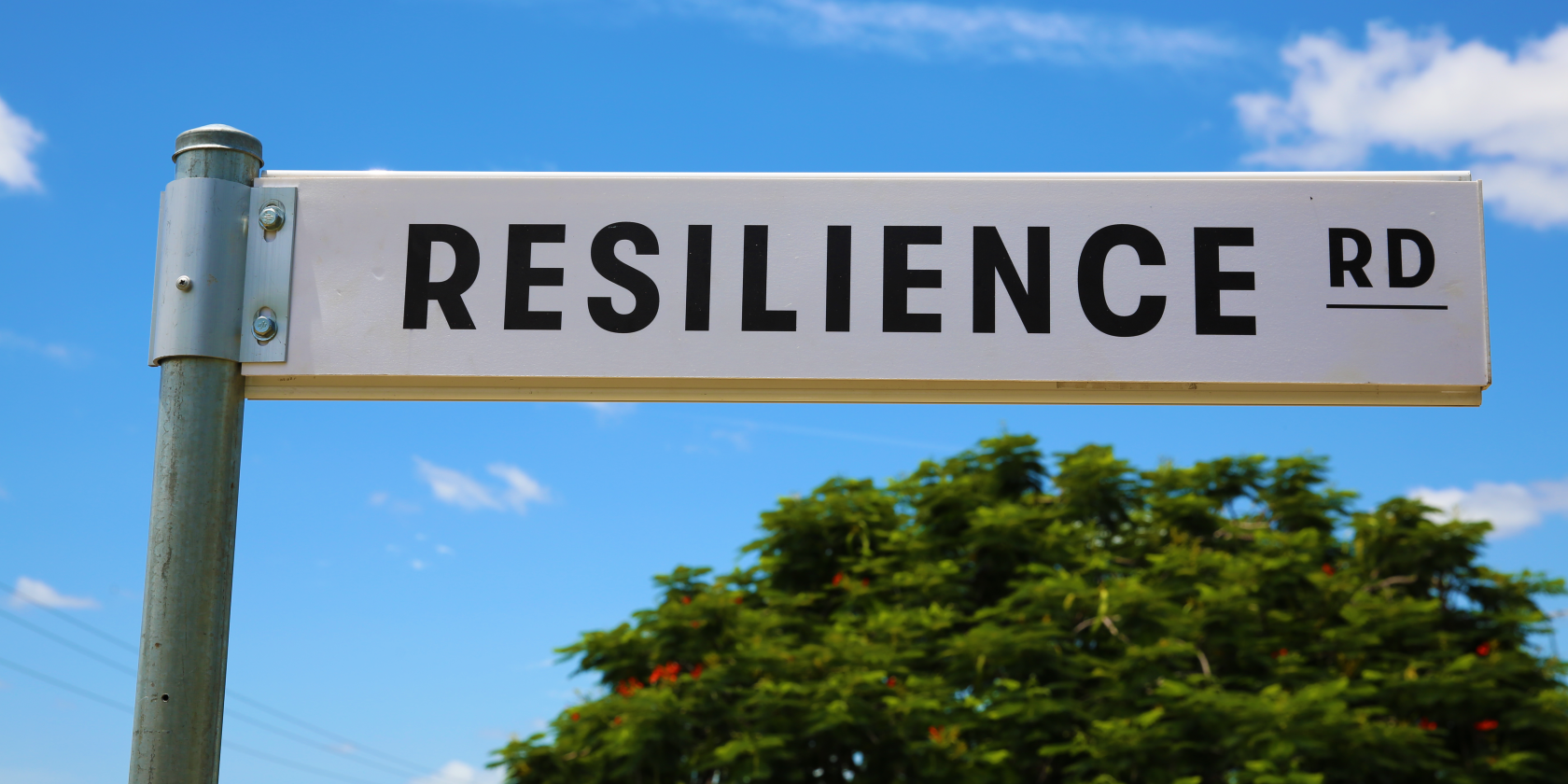 Putting Queensland on the road to resilience