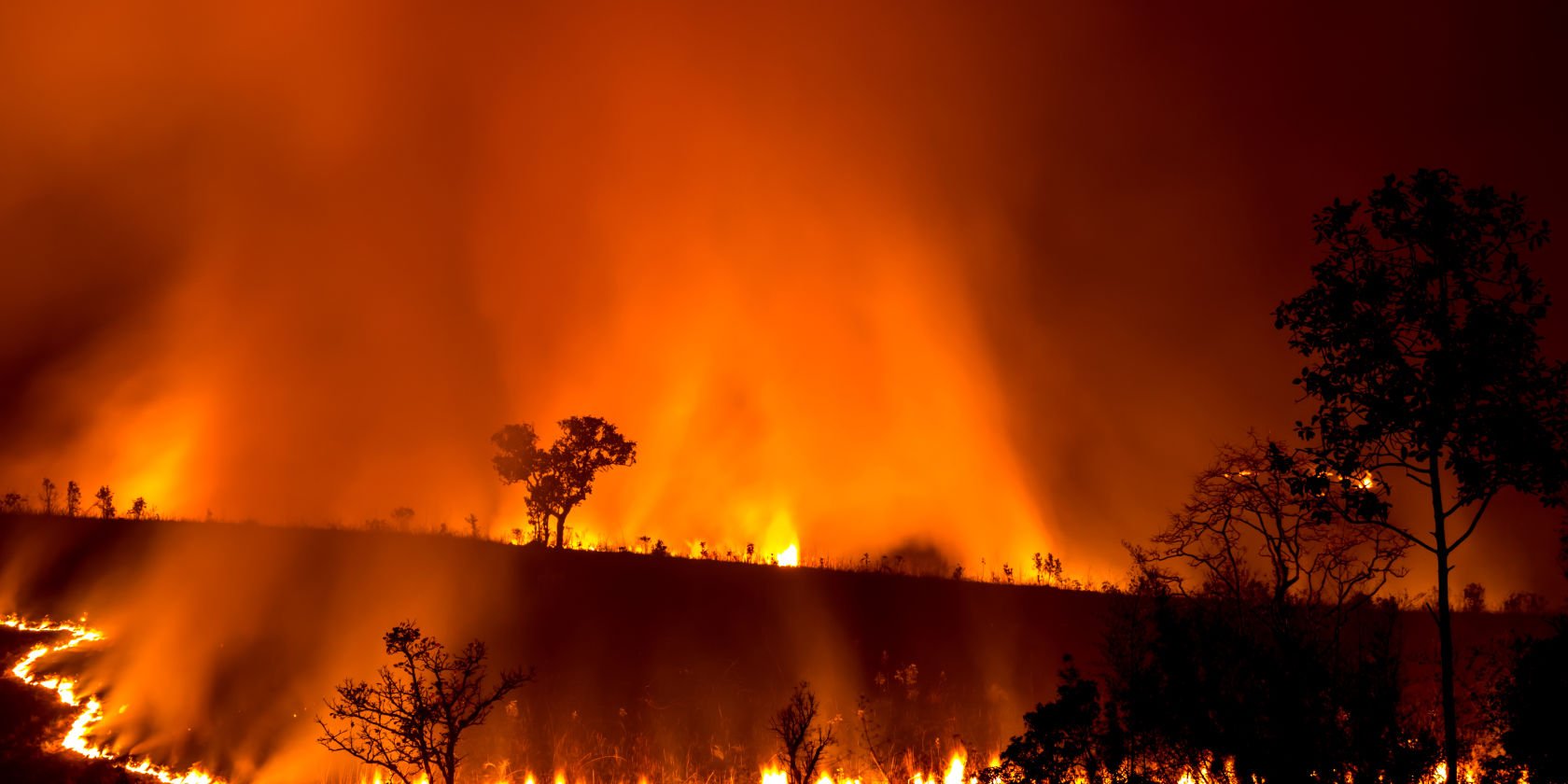 Homeowners urged to act now to protect their home ahead of El Niño bushfires this summer