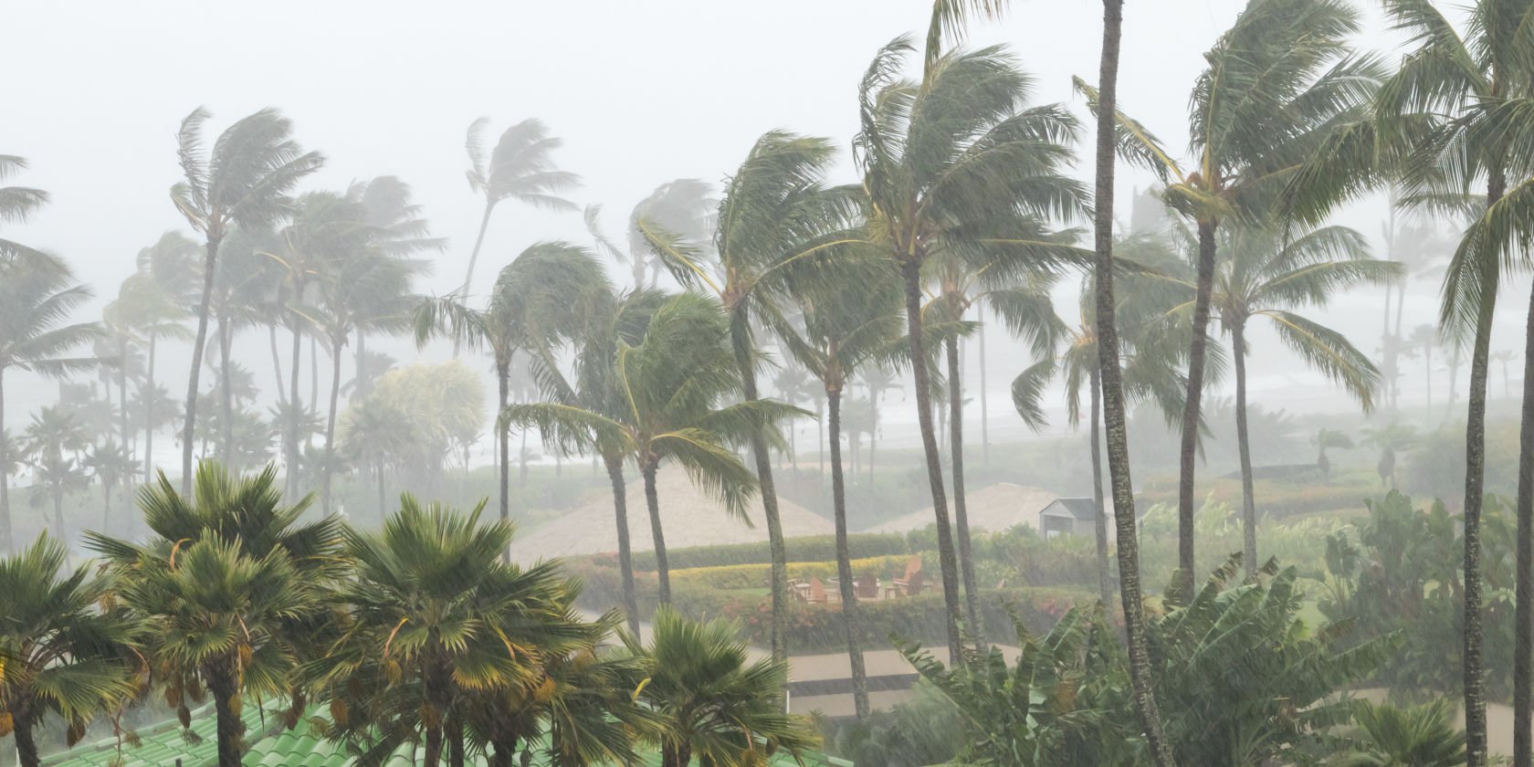 Suncorp joins Cyclone Reinsurance Pool