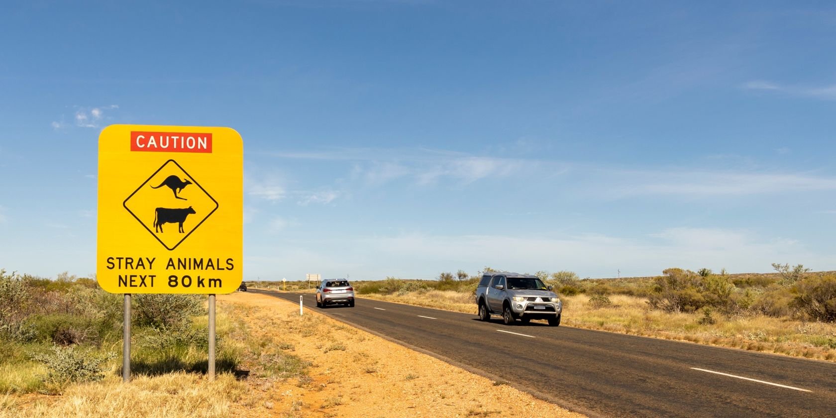 Regional roads prove to be hotspots for wildlife crashes