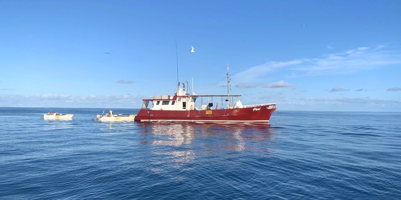 Smooth Sailing: How this Mackay-based fishing business optimised trade during COVID-19