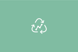 Sustainable Growth