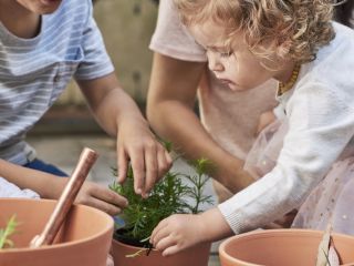 Sustainable Growth