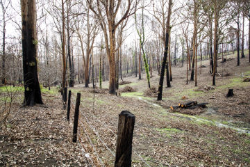 Suncorp supports children’s bushfire recovery program