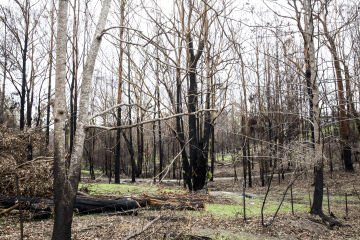 South Australian homeowners are playing with fire this bushfire season