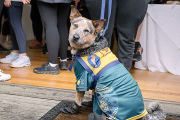 Nala the accessibility dog lends a helping paw at Melbourne Spirit to Cure