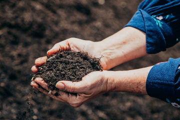 Suncorp’s environmental performance improvements gain global recognition