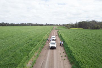 Suncorp supports the ICA Climate Change Roadmap