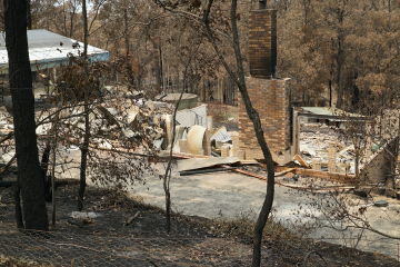 Building a more resilient future - why we owe it to those brave bushfire survivors