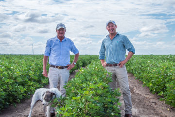 Diving into digital changes a cotton farmer’s fortunes 