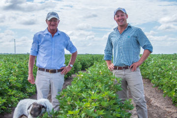 Diving into digital changes a cotton farmer’s fortunes