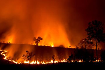Homeowners urged to act now to protect their home ahead of El Niño bushfires this summer