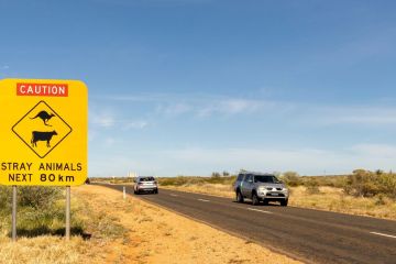 Regional roads prove to be hotspots for wildlife crashes