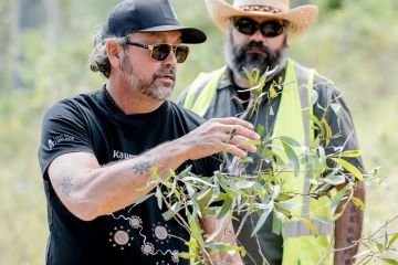 Working together to restore First Nations knowledge and rebuild Australia’s natural resilience