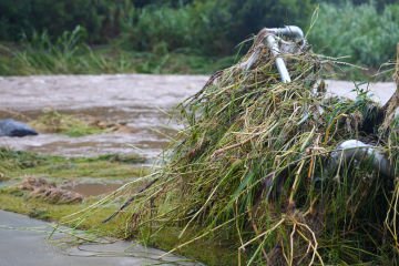 Suncorp responds after supercell storms strike SE QLD and Northern NSW