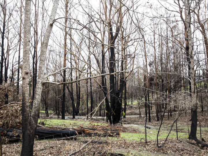 South Australian homeowners are playing with fire this bushfire season