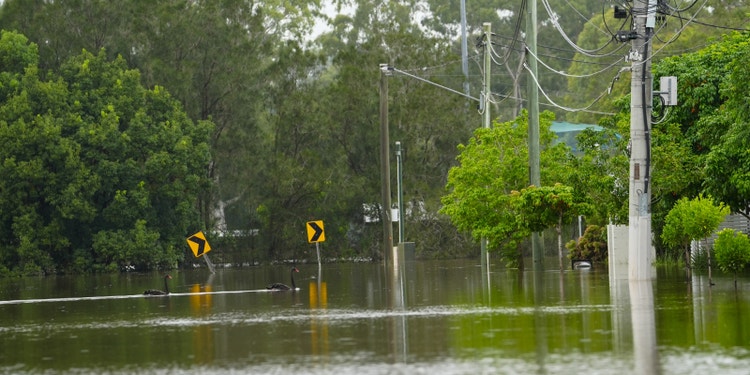 Flooded road in suburbs